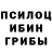Галлюциногенные грибы MAGIC MUSHROOMS Almaz Iminjanov