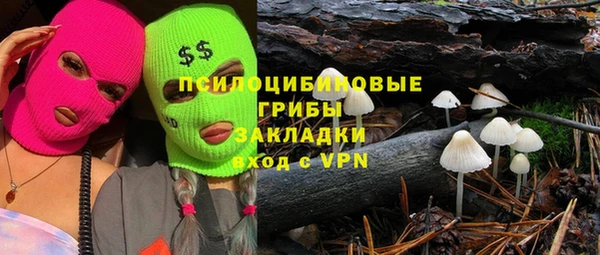 СК Абаза
