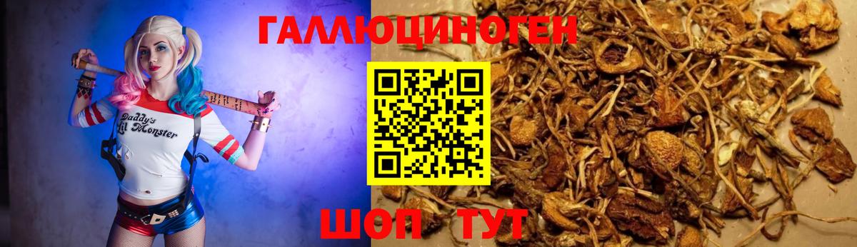 Ялуторовск  Псилоцибиновые грибы ЛСД  купить   Вход с VPN 